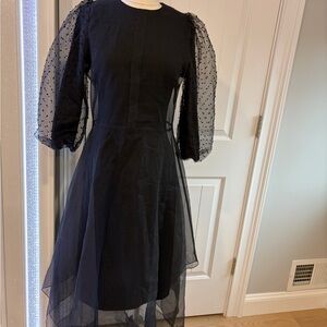 Elegant Black Dress with Sheer Sleeves